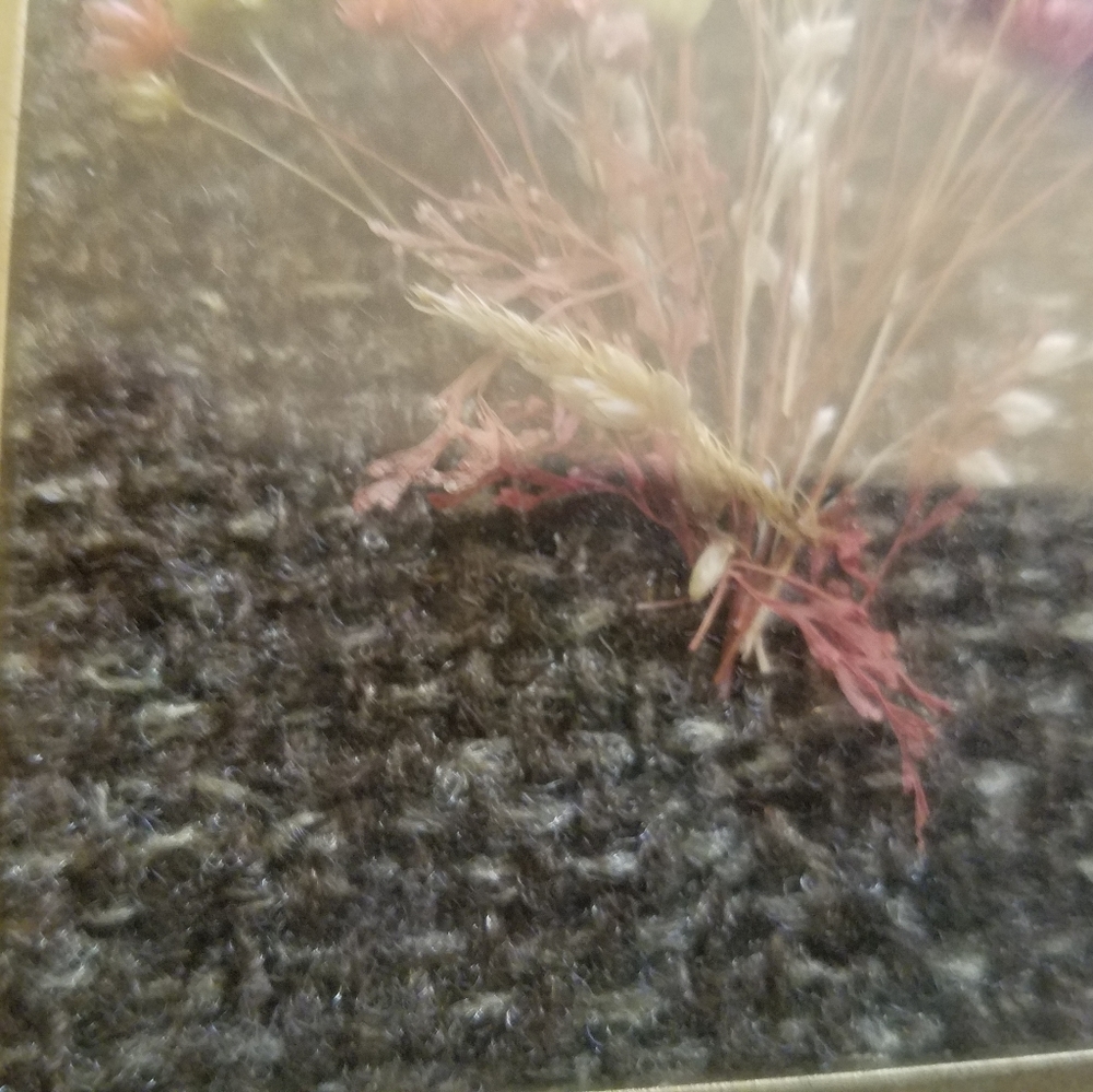 Vintage Dried Flowers Framed Shadow Box Picture - Picture 7 of 16